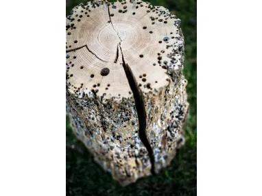 Sgabello Bricola Venezia Stool in legno massello di Briccola di Riva1920