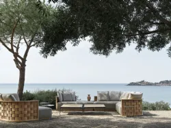 Divano Palinfrasca in legno e tessuto di Molteni & C